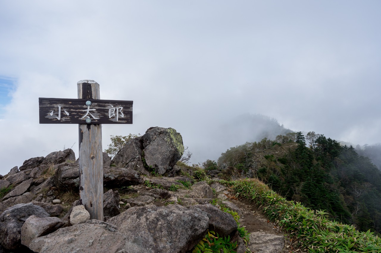 小太郎山の山頂