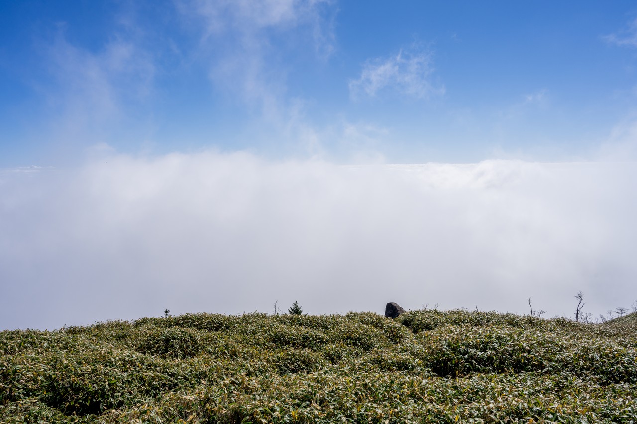 釈迦ヶ岳山頂から見た雲海