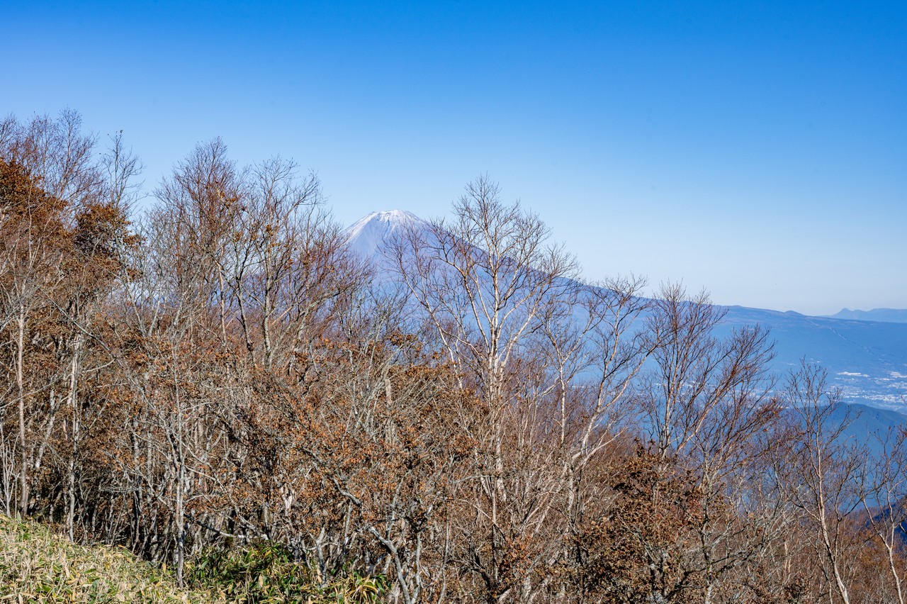 十枚山から見た富士山