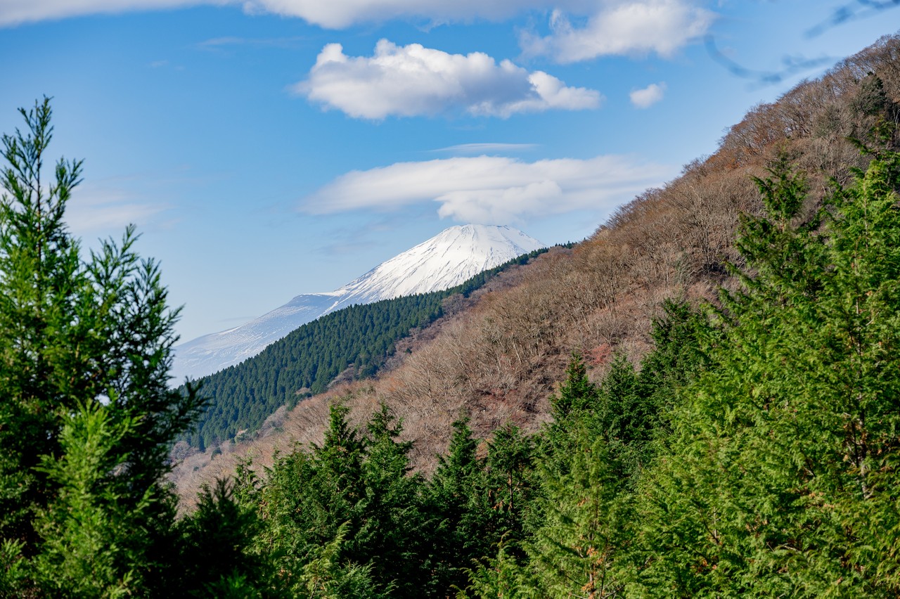 林道秦野峠から見た富士山