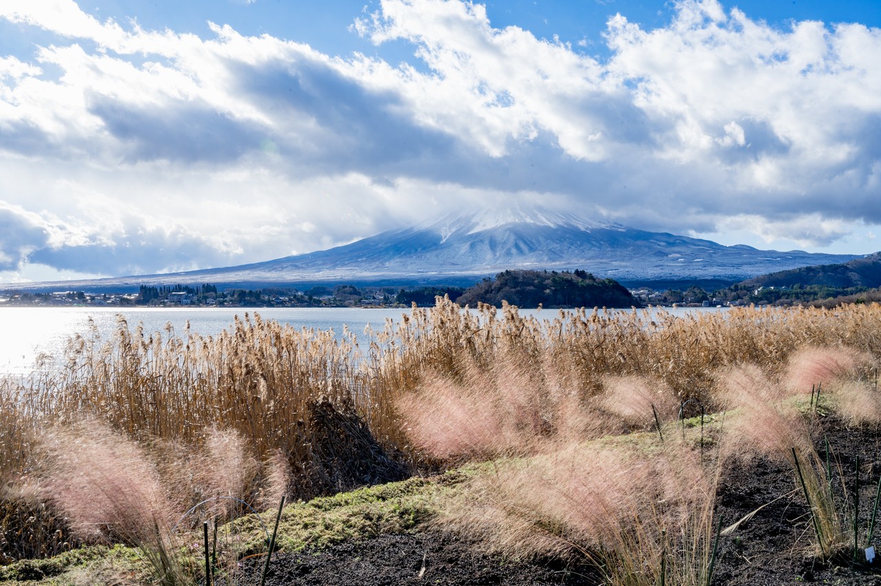 河口湖自然生活館から見た富士山