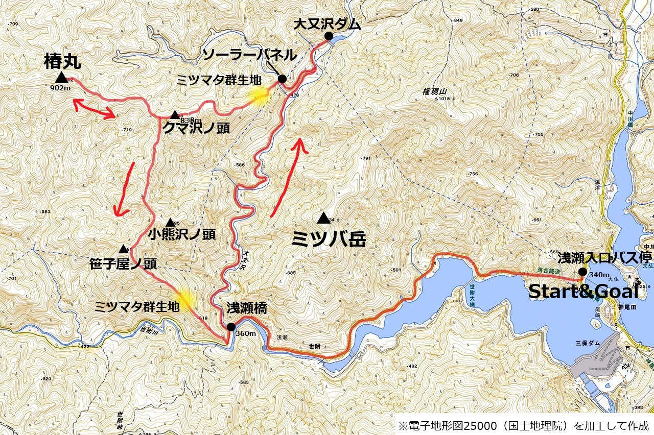 230319椿丸-map