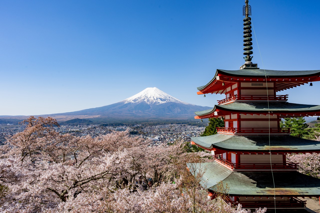 新倉山浅間公園から見た富士山と桜