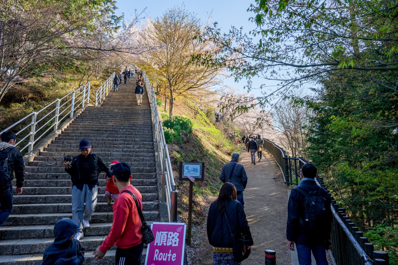 新倉山浅間公園の階段