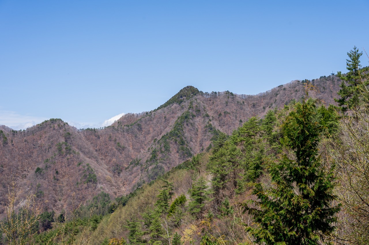 送電鉄塔から見た鈴庫山