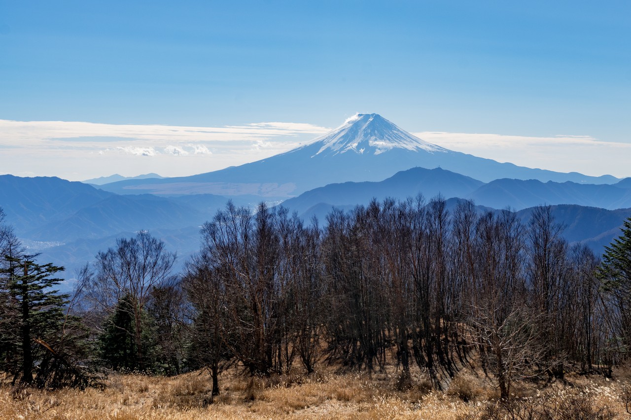 雁ヶ腹摺山から見た富士山