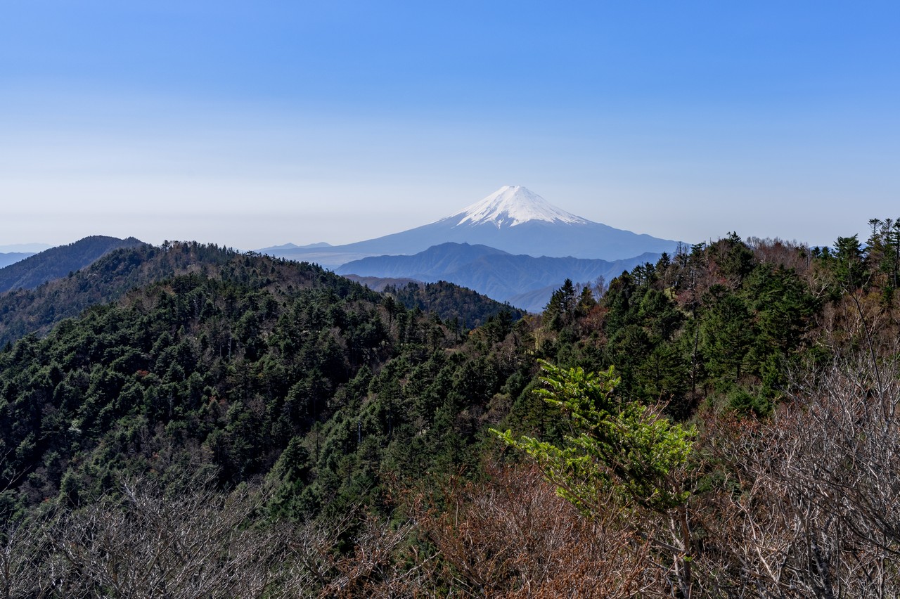 小金沢山からの富士山展望