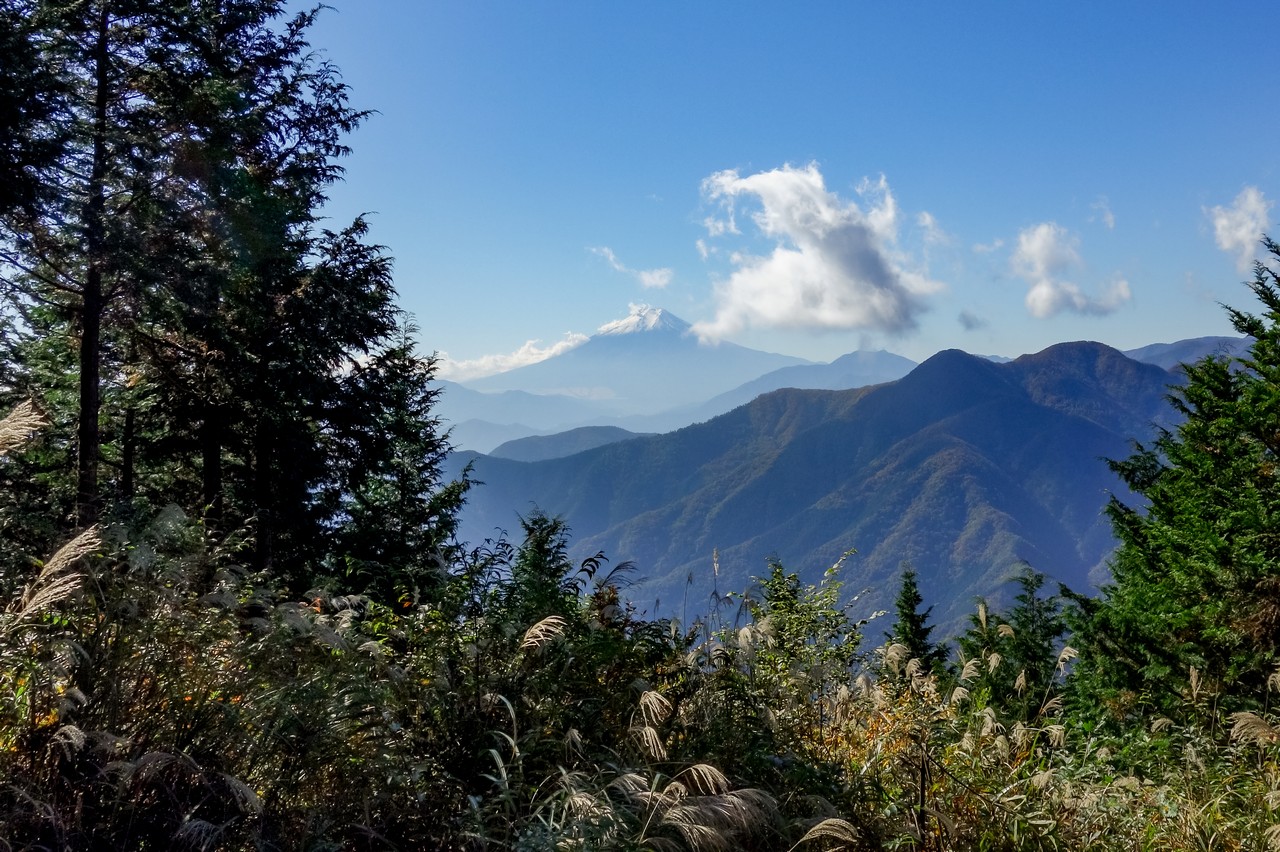 奈良倉山からの富士展望