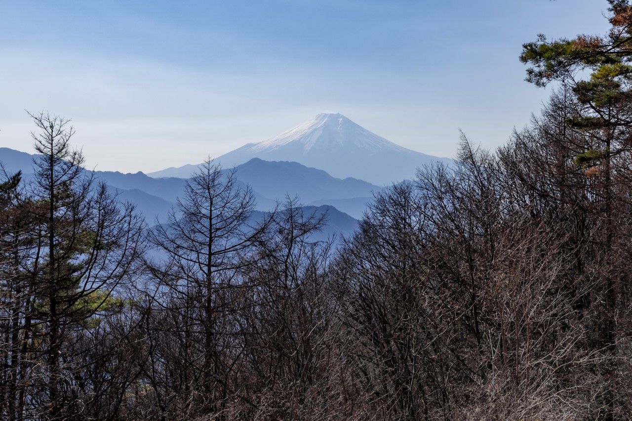 扇山からの富士展望