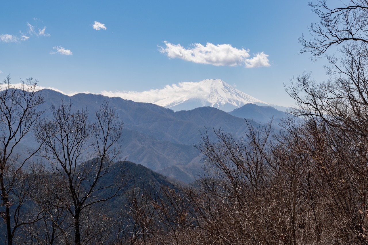 倉岳山からの富士展望