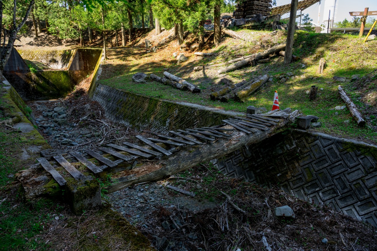 クマガイソウ群生地入口の朽ちた木橋