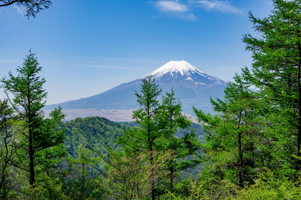 相定ヶ峰から見た富士山