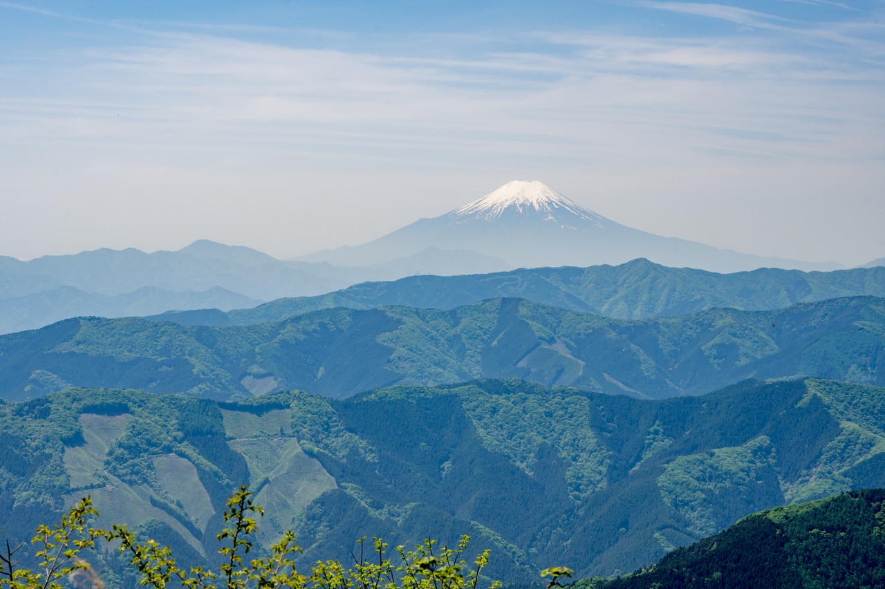大岳山から見た富士山