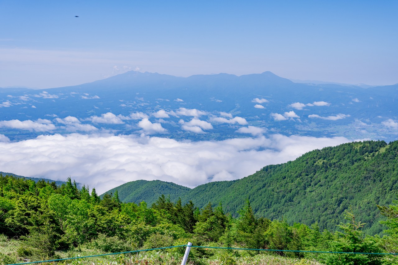 湯ノ丸山から見た八ヶ岳