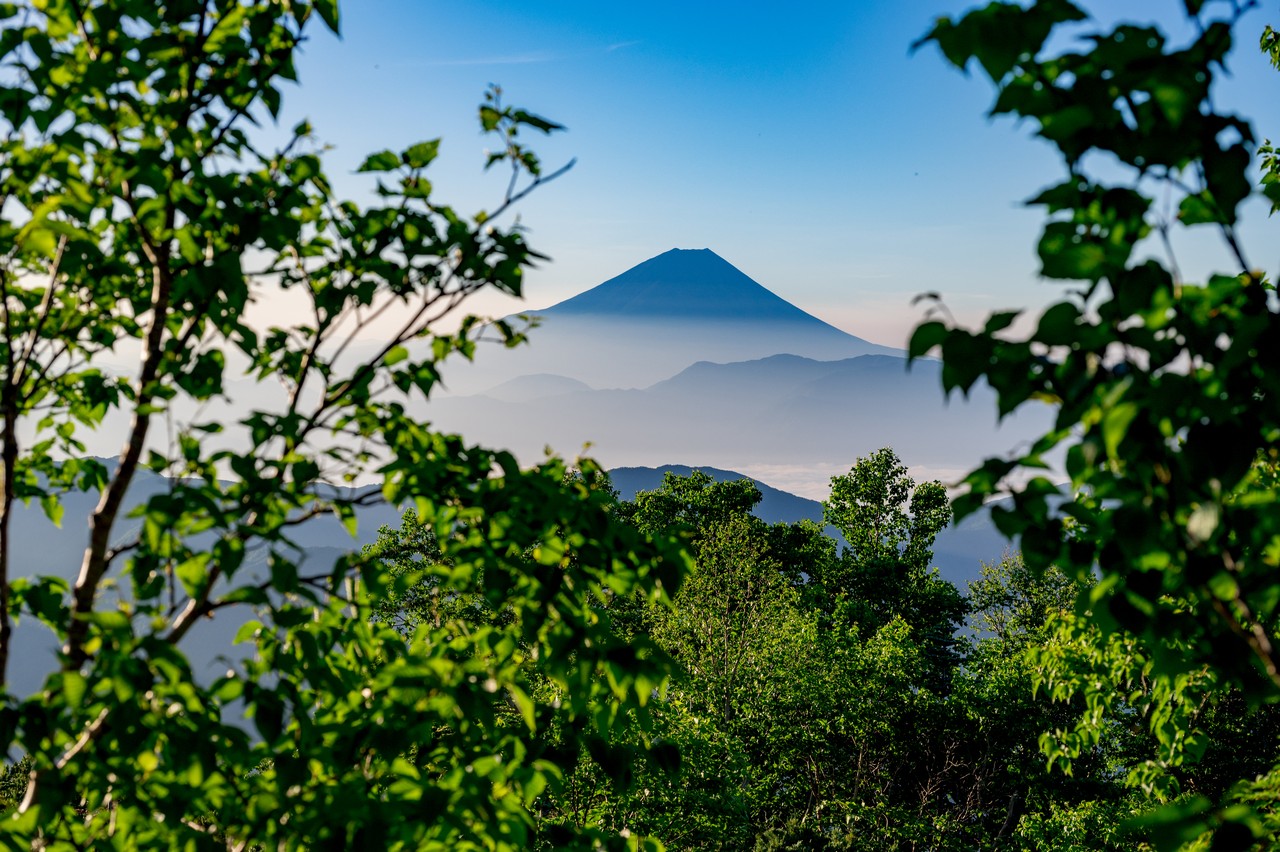 笹山南峰から見た富士山