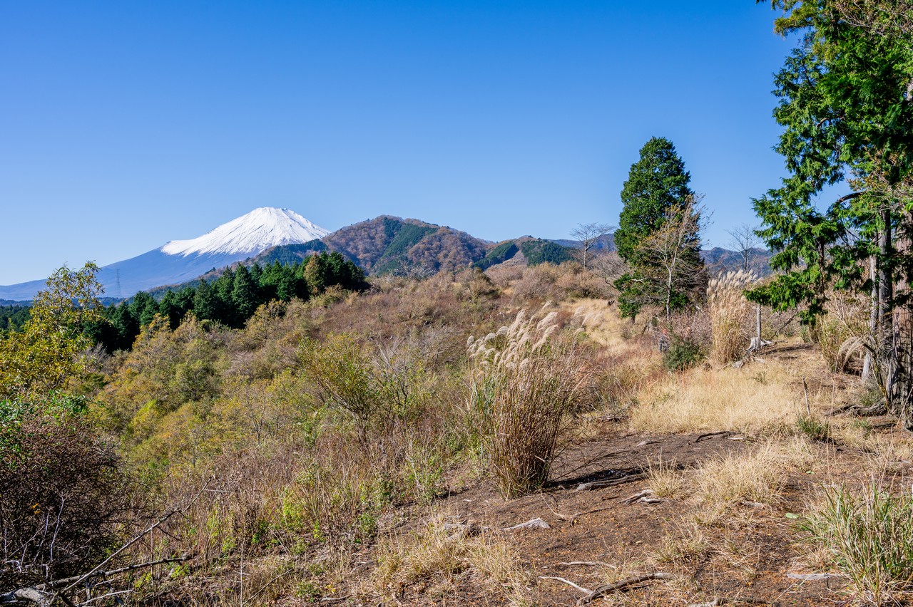 サンショウバラの丘から見た湯船山と富士山