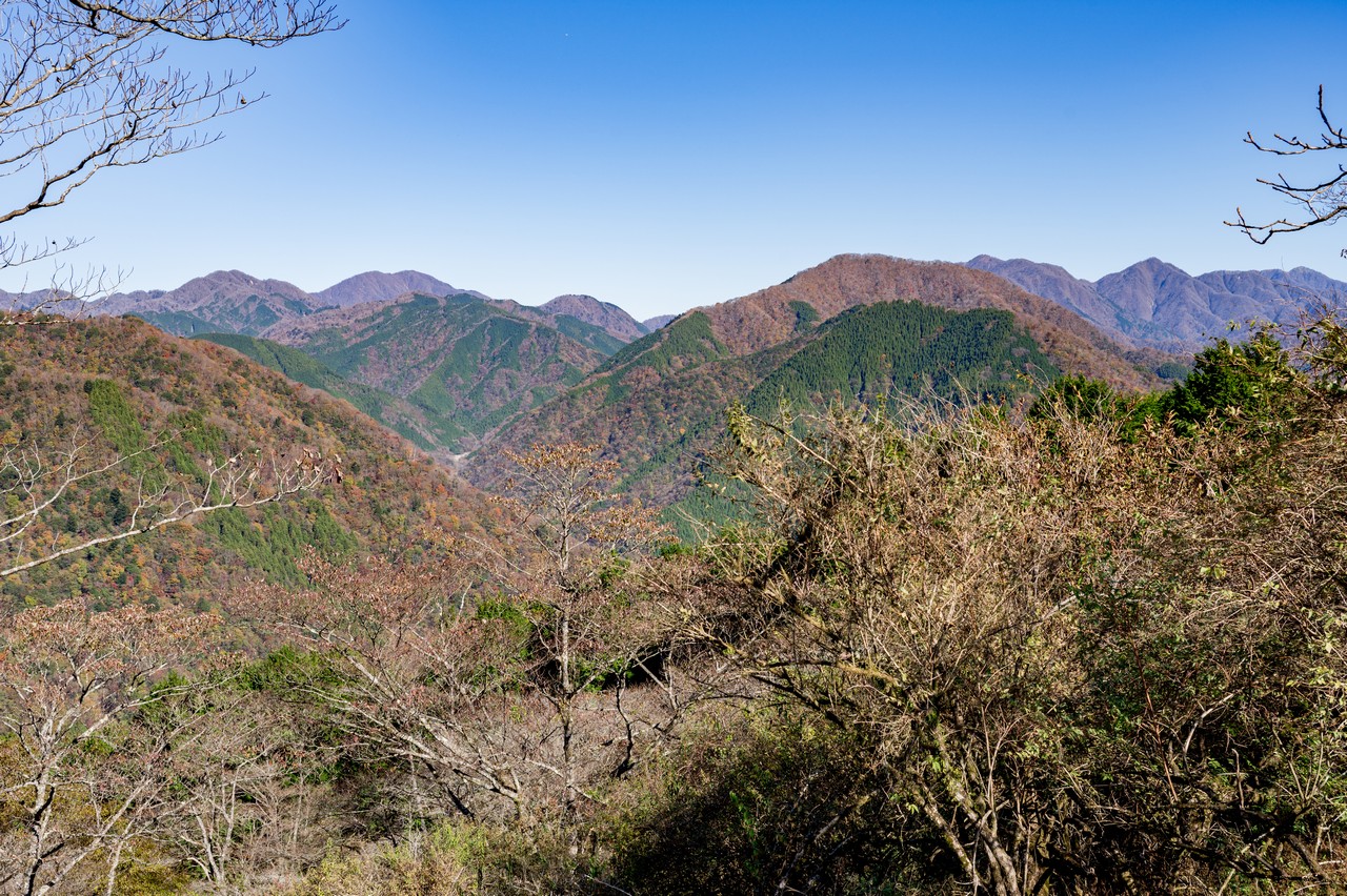 サンショウバラの丘から見た西丹沢
