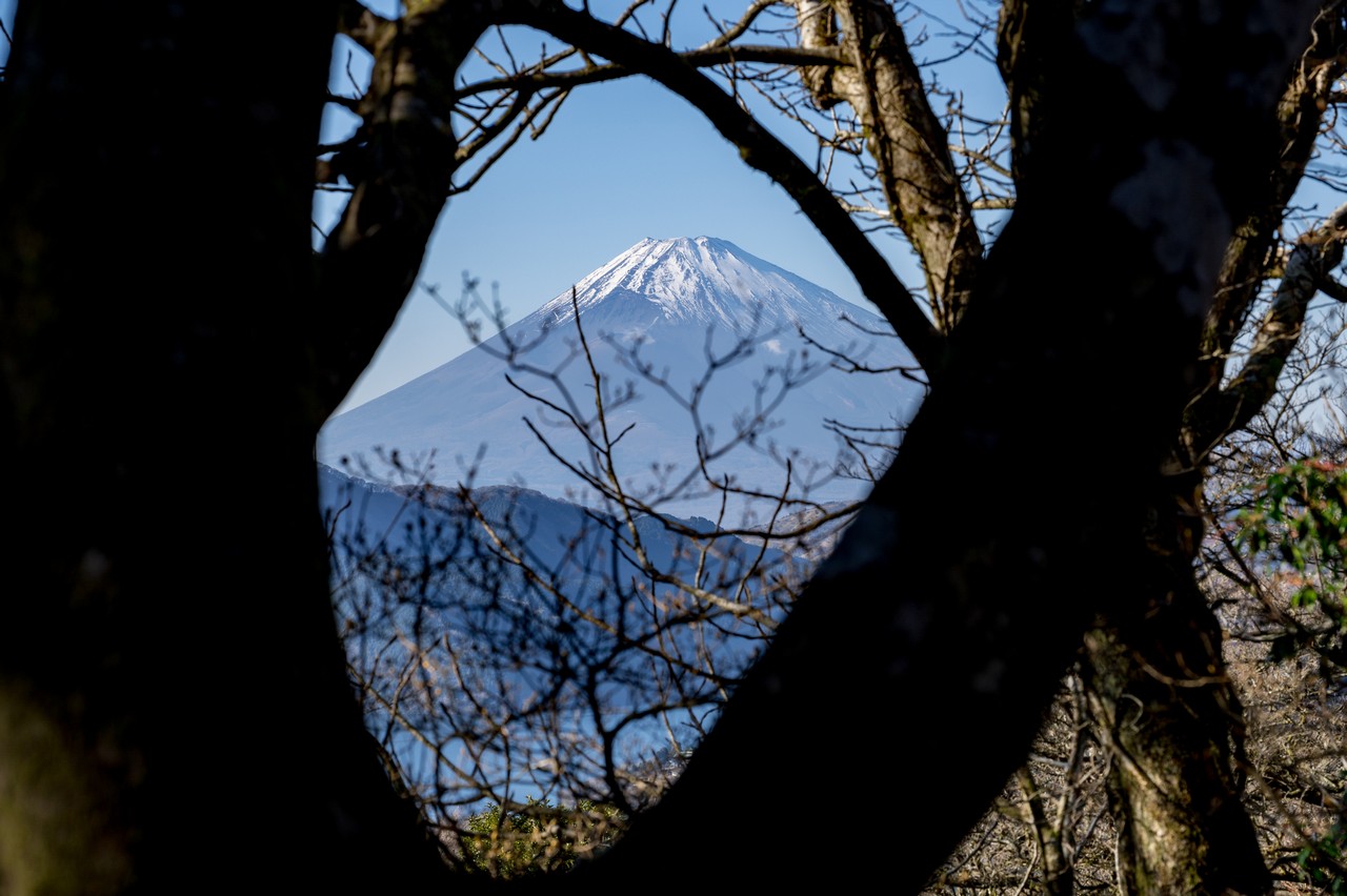屏風山の登山道から見た富士山