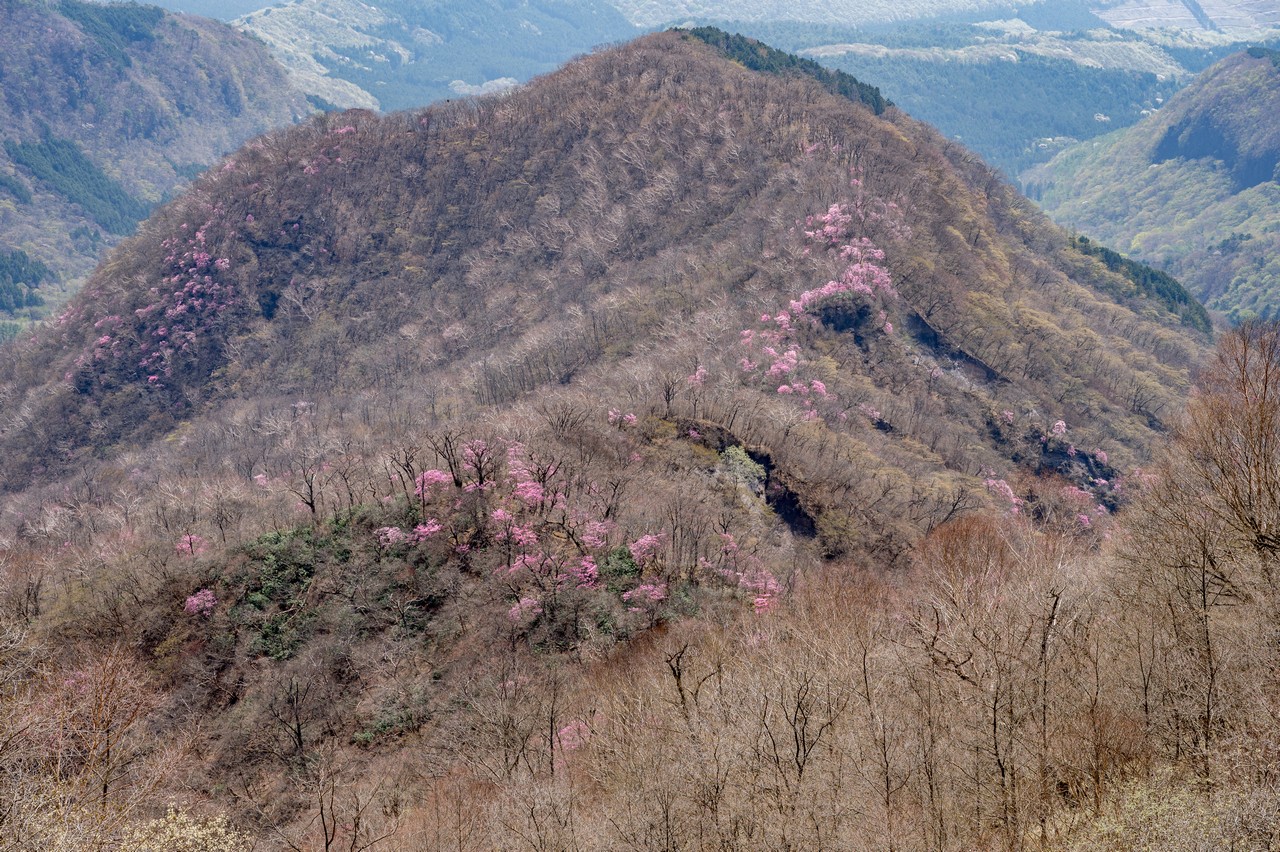 250427赤城山-029