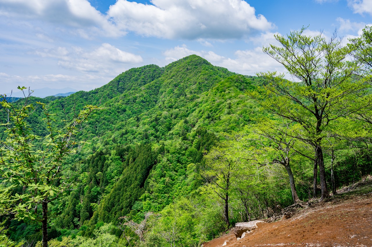 善六山から見た畦ヶ丸