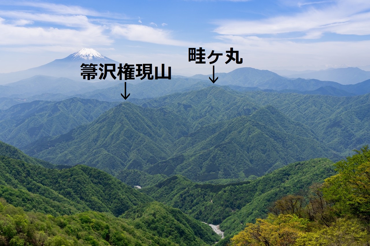 檜洞丸山頂近くの登山道上から見た畦ヶ丸と箒沢権現山