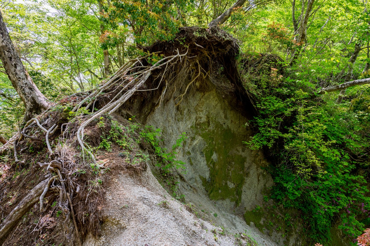 箒沢権現山の崩落しかけてる登山道