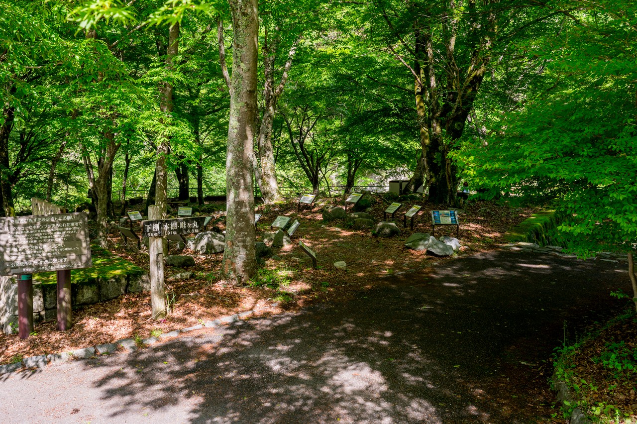畦ヶ丸の登山口