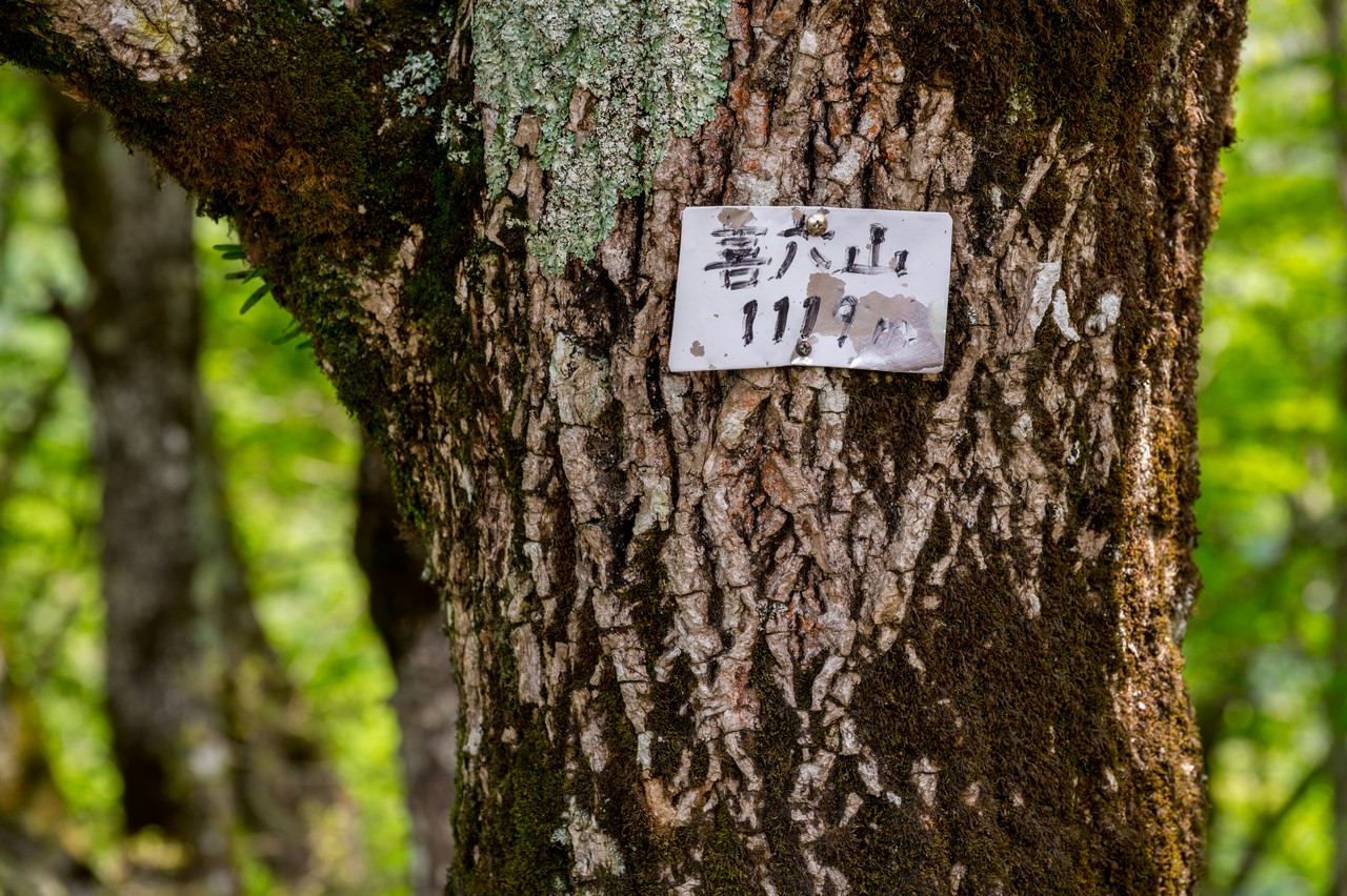 善六山の山頂標識
