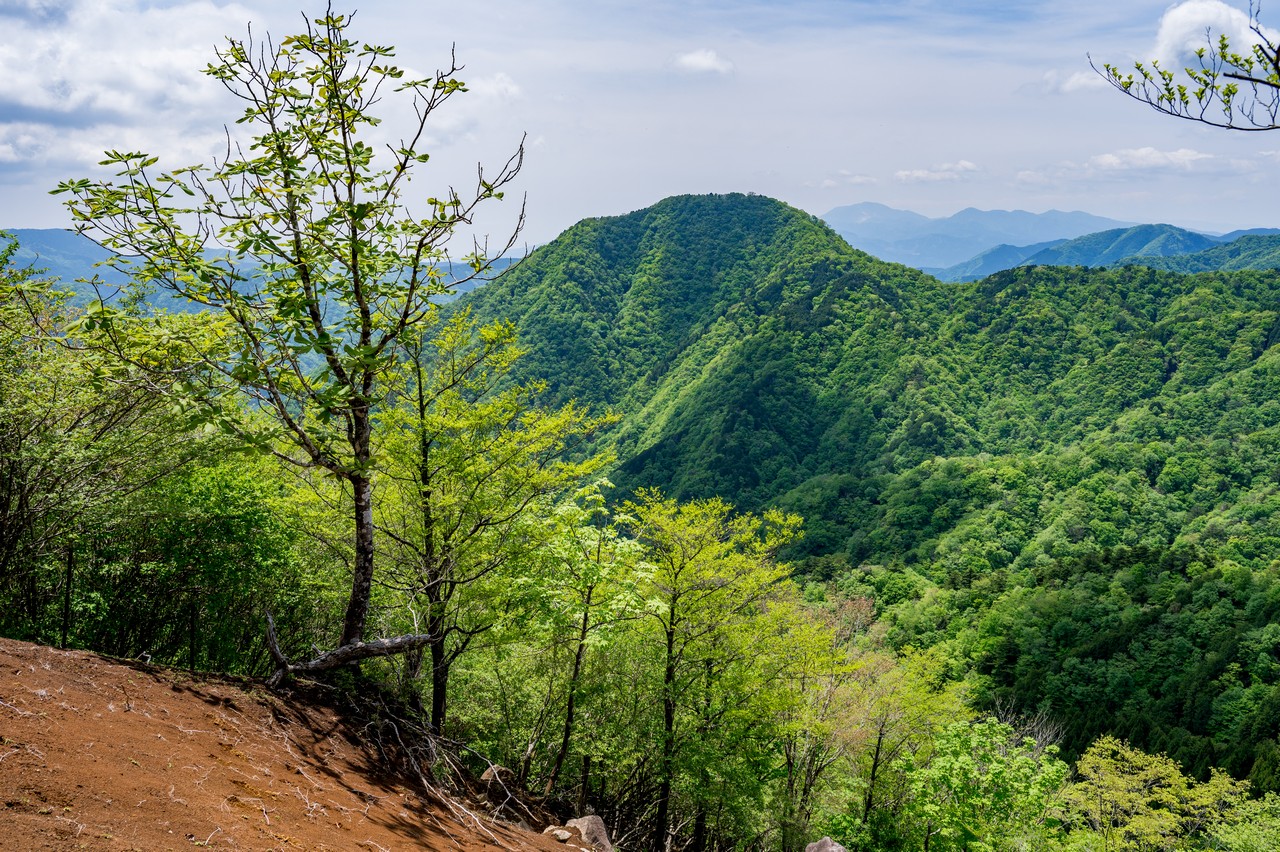 善六山から見た箒沢権現山