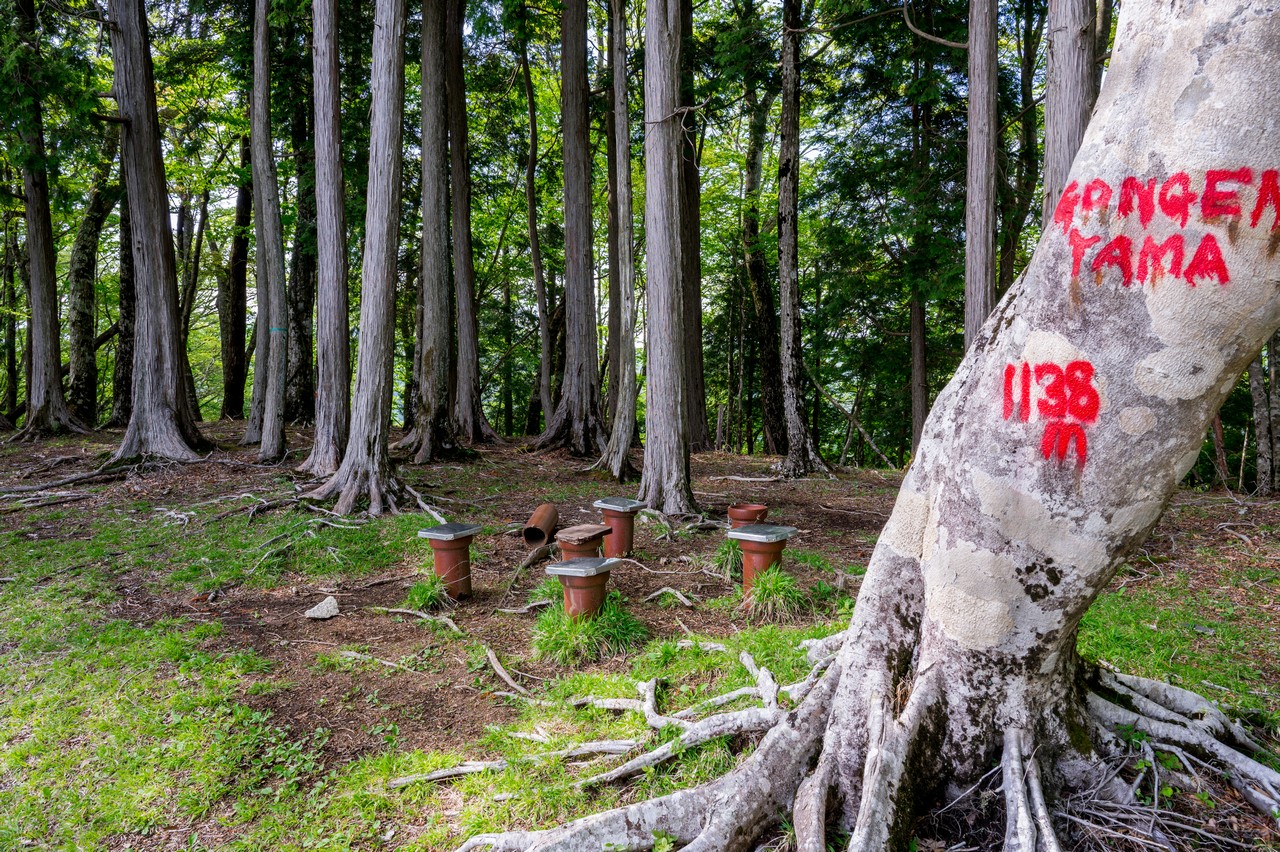 箒沢権現山の山頂