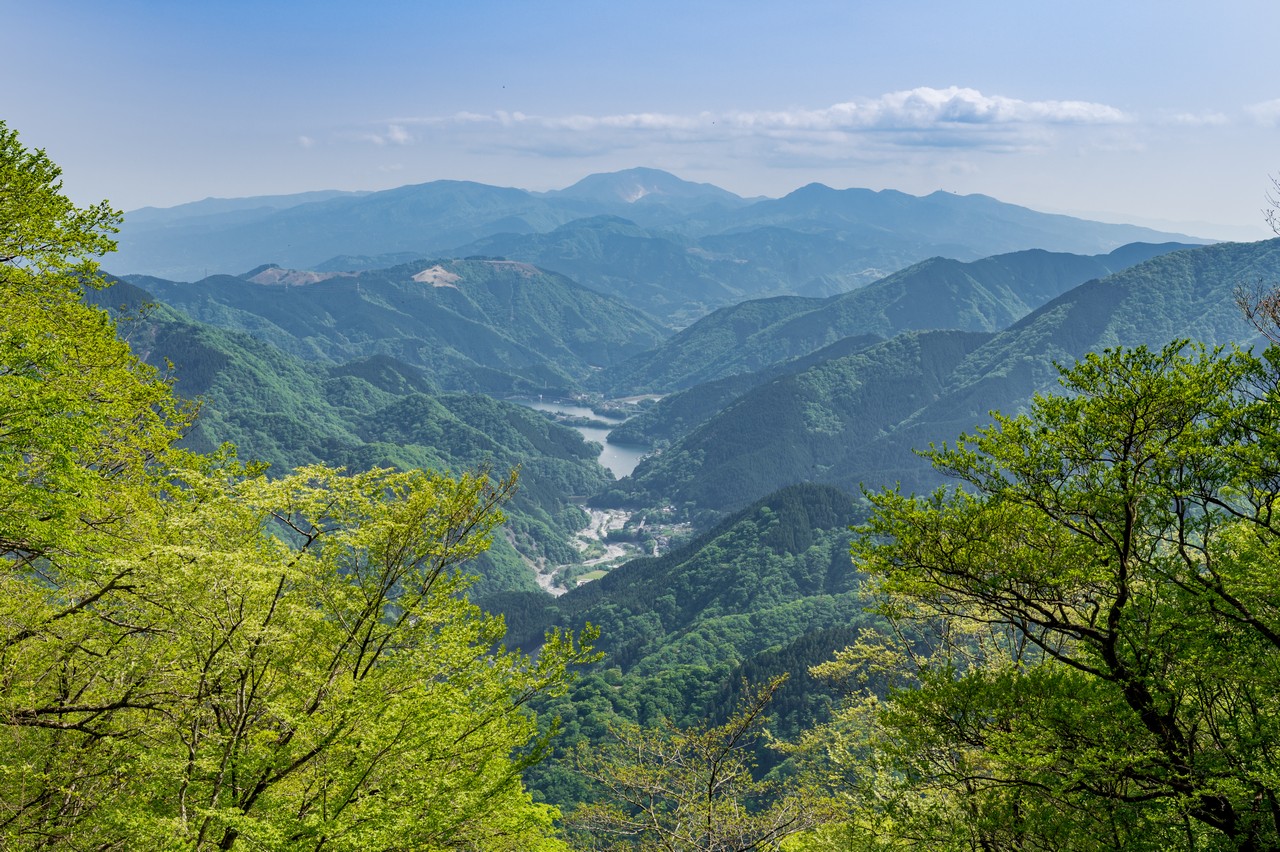箒沢権現山からの展望