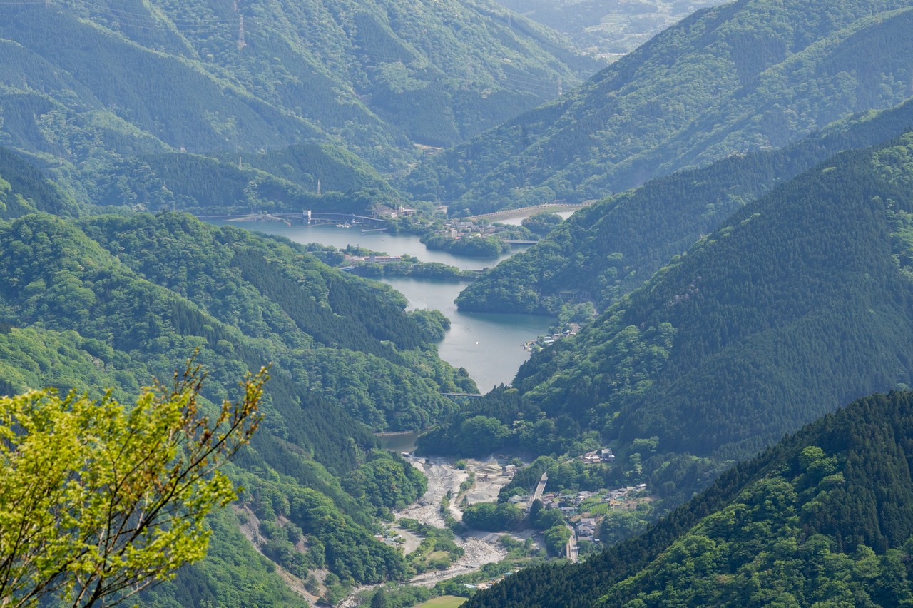 箒沢権現山から見た丹沢湖