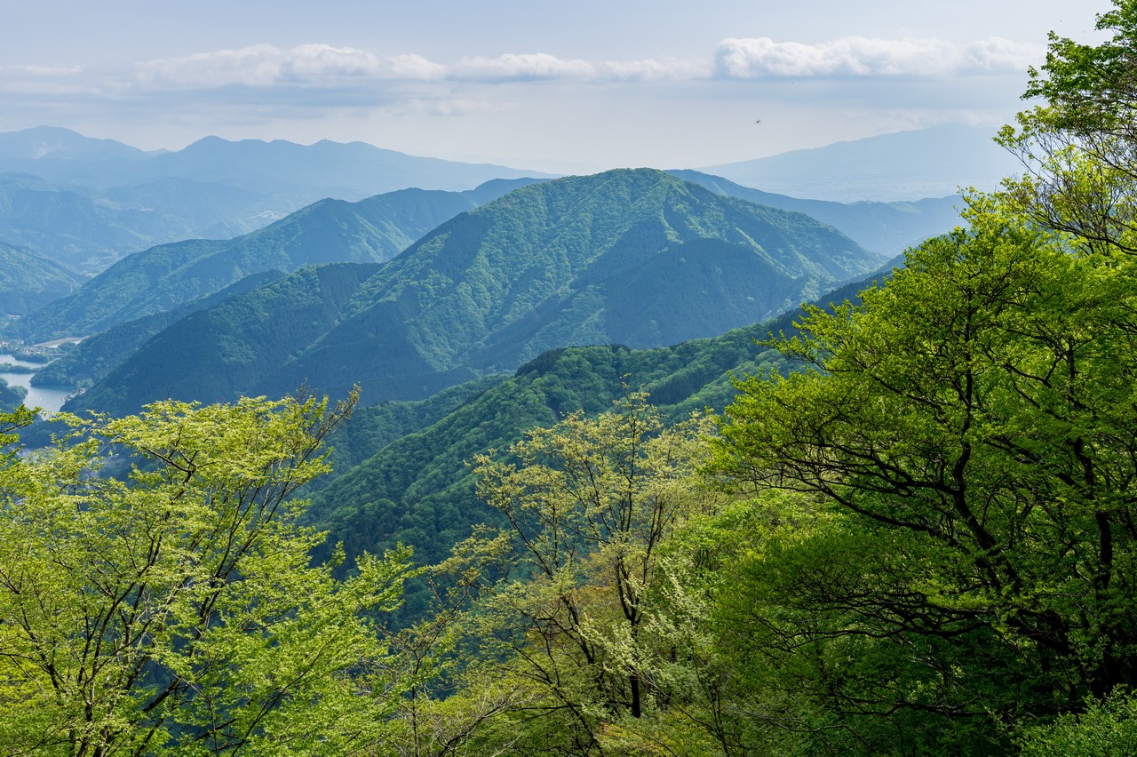 箒沢権現山から見た世附権現山