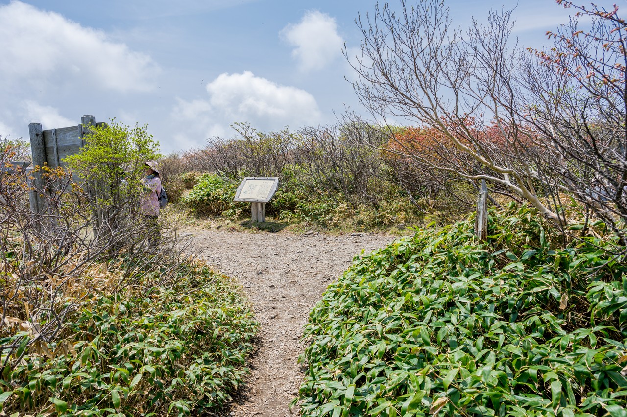 日の出平の山頂