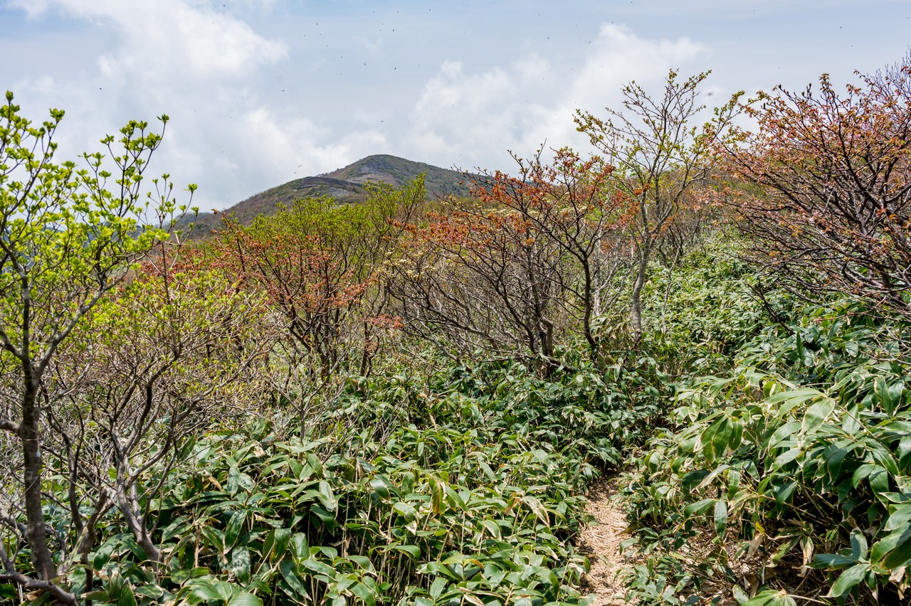 日の出平から見た南月山