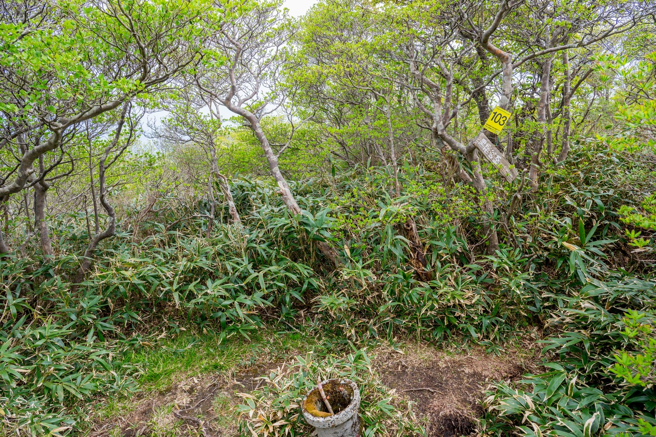 黒尾谷岳の山頂