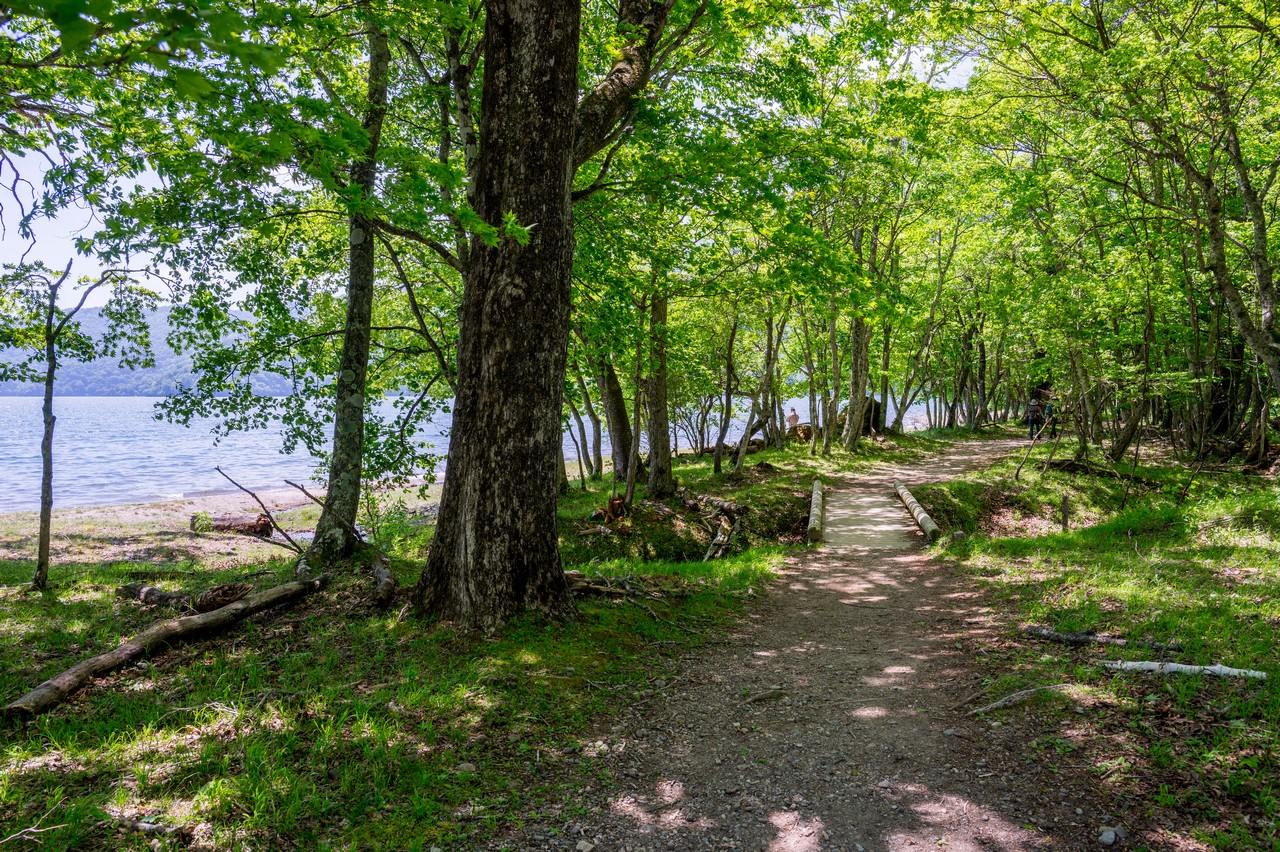 千手ヶ浜の遊歩道