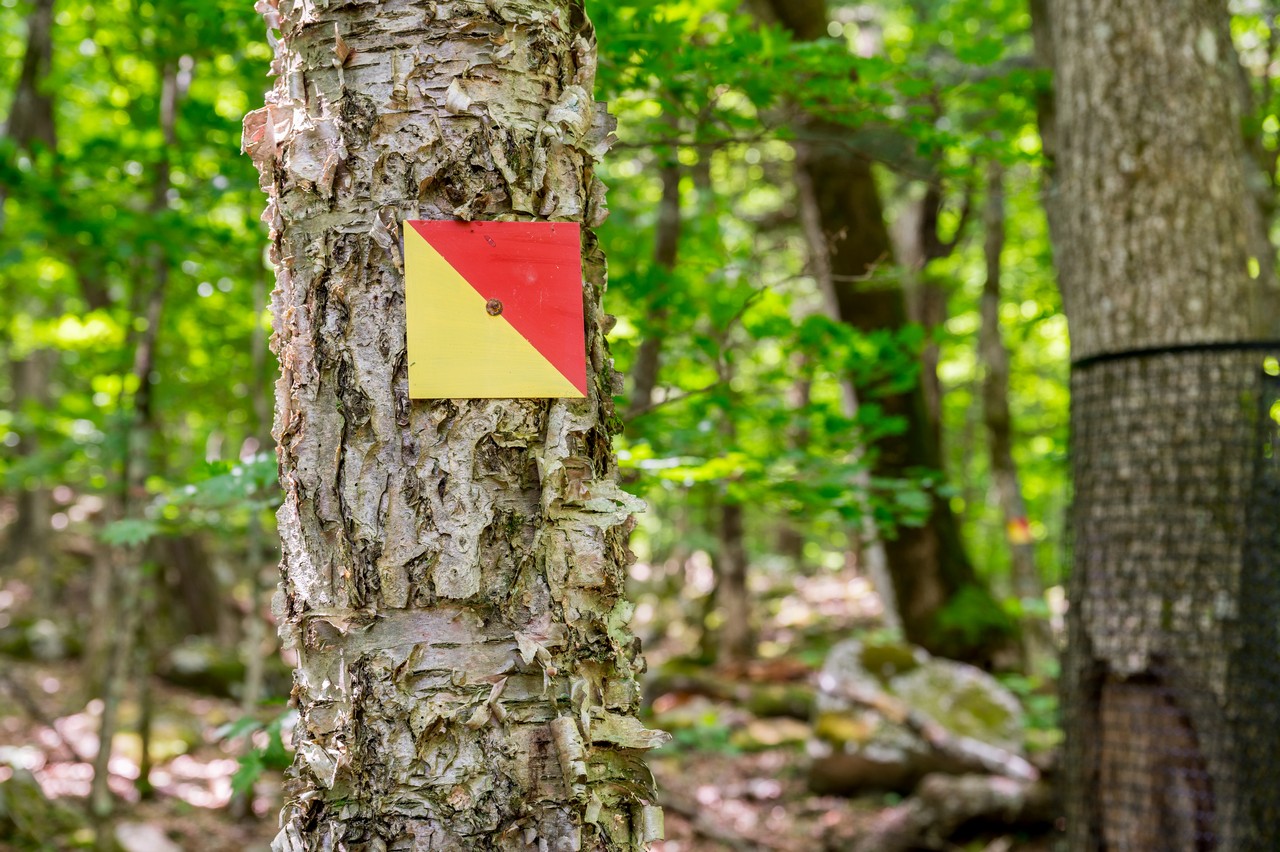 栃木県の登山道の識別表