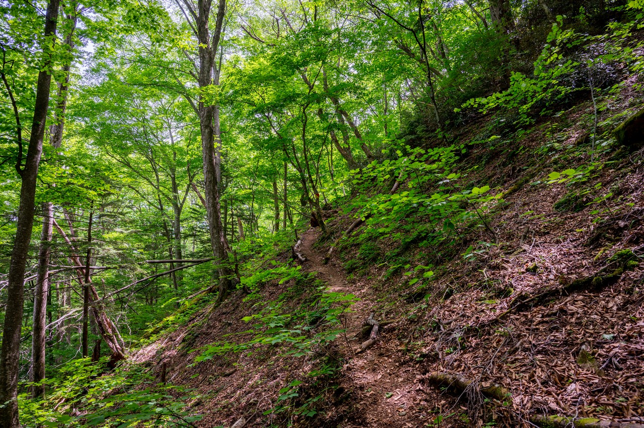 黒檜岳の登山道