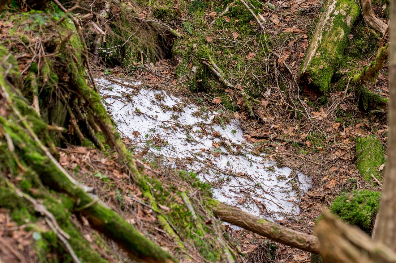 黒檜岳登山道脇の残雪