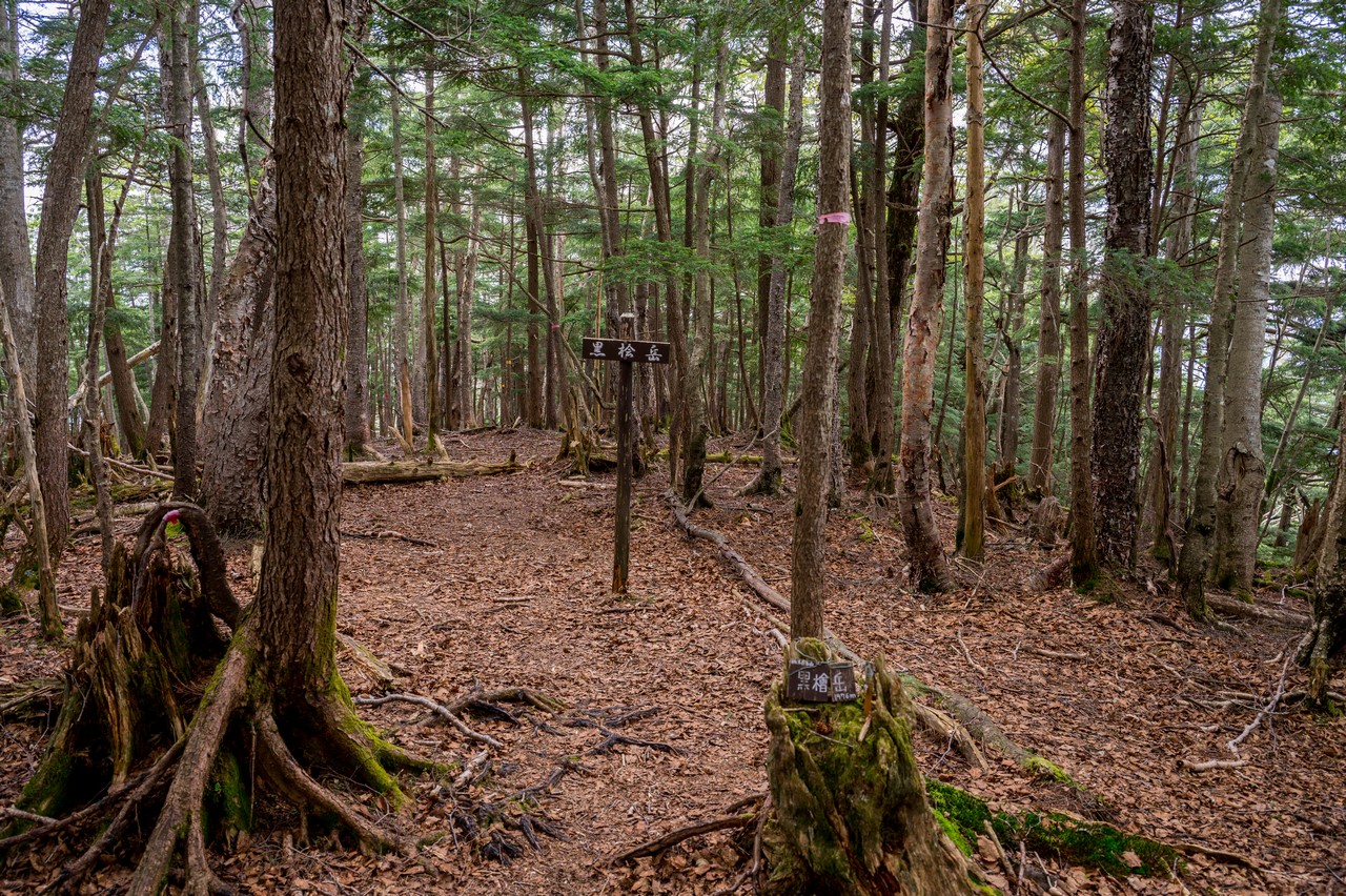 黒檜岳の山頂