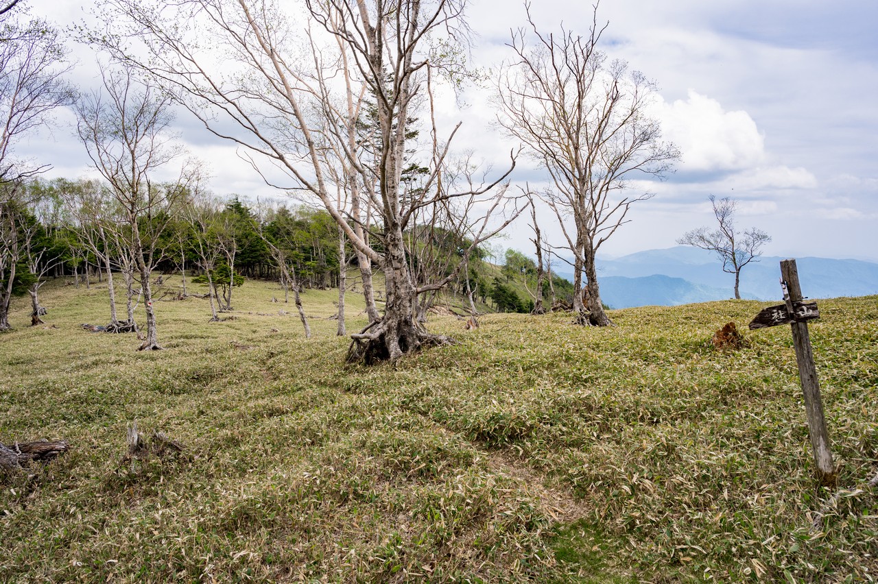 黒檜岳の登山道