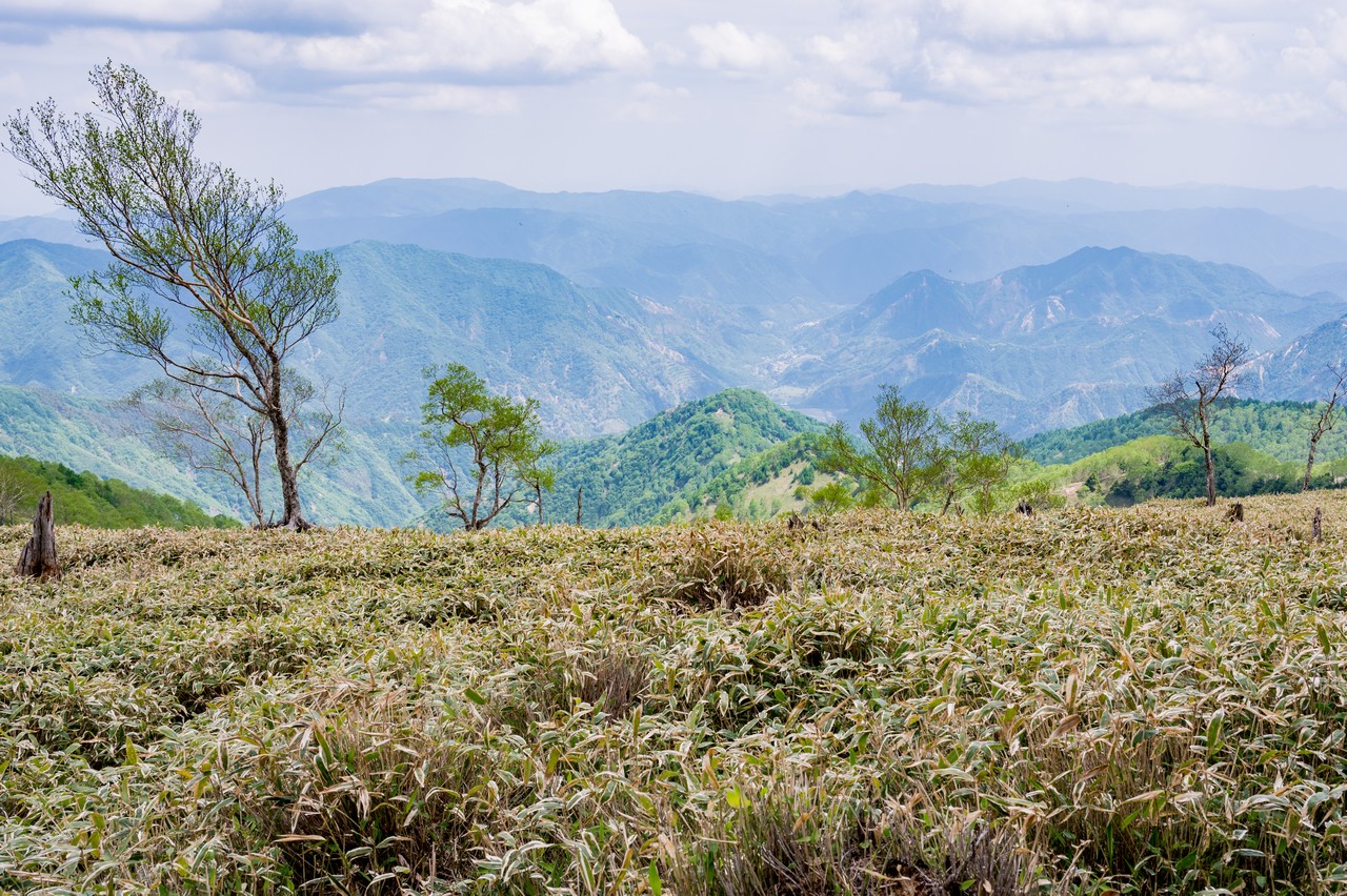 黒檜岳の稜線上から見た足尾地区