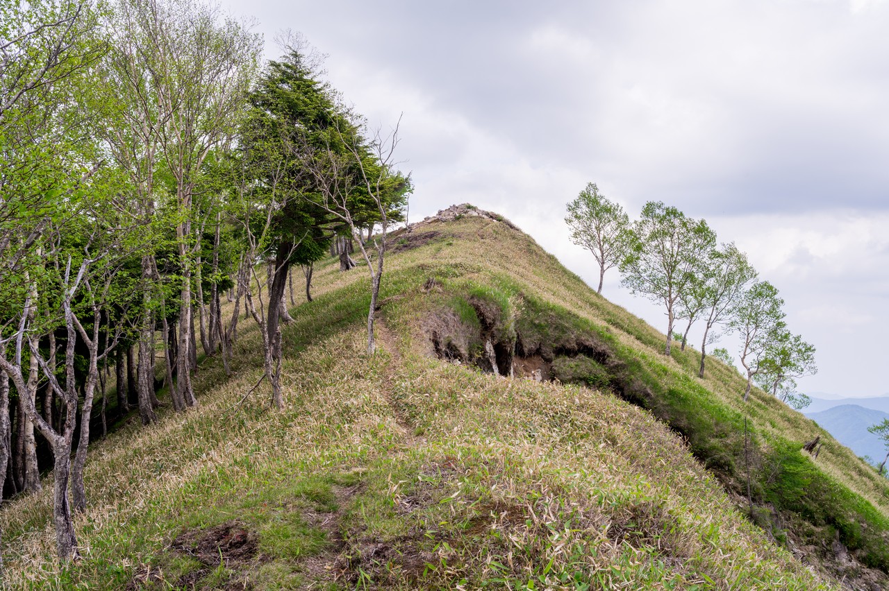 黒檜岳の稜線上の光景