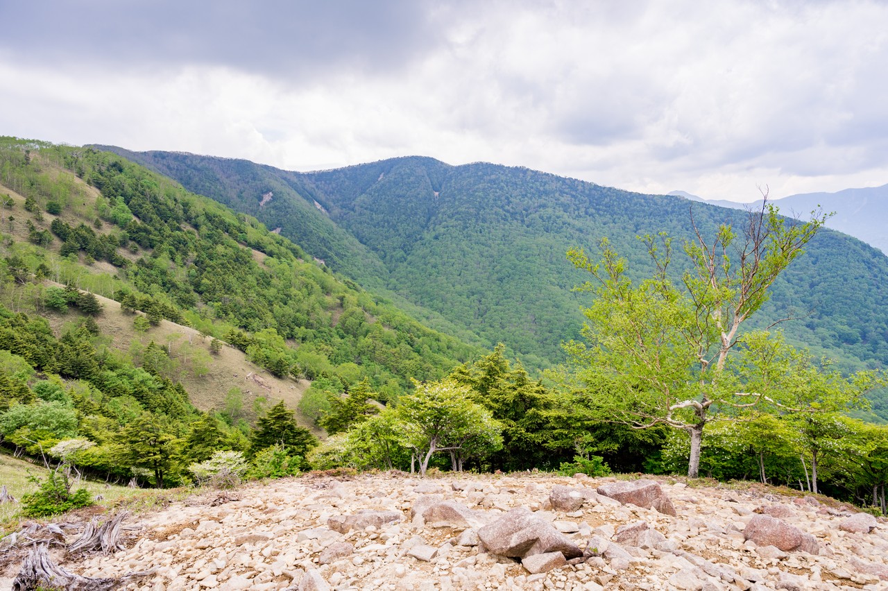 稜線上から見た黒檜岳