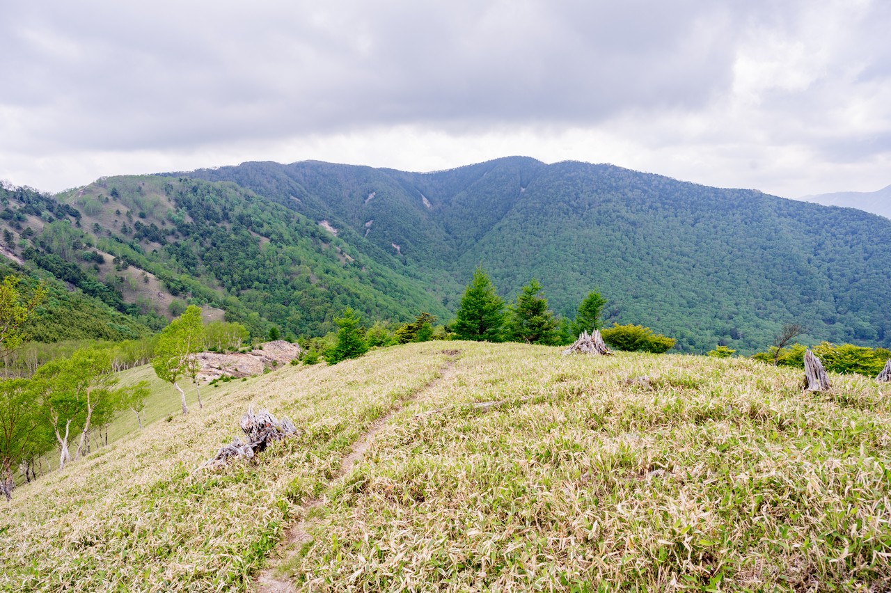 稜線上から見た黒檜岳