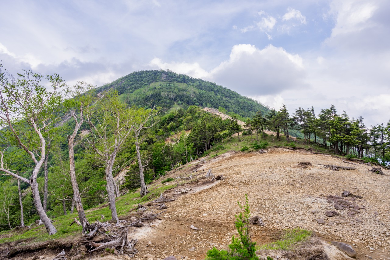 黒檜岳側から見た社山