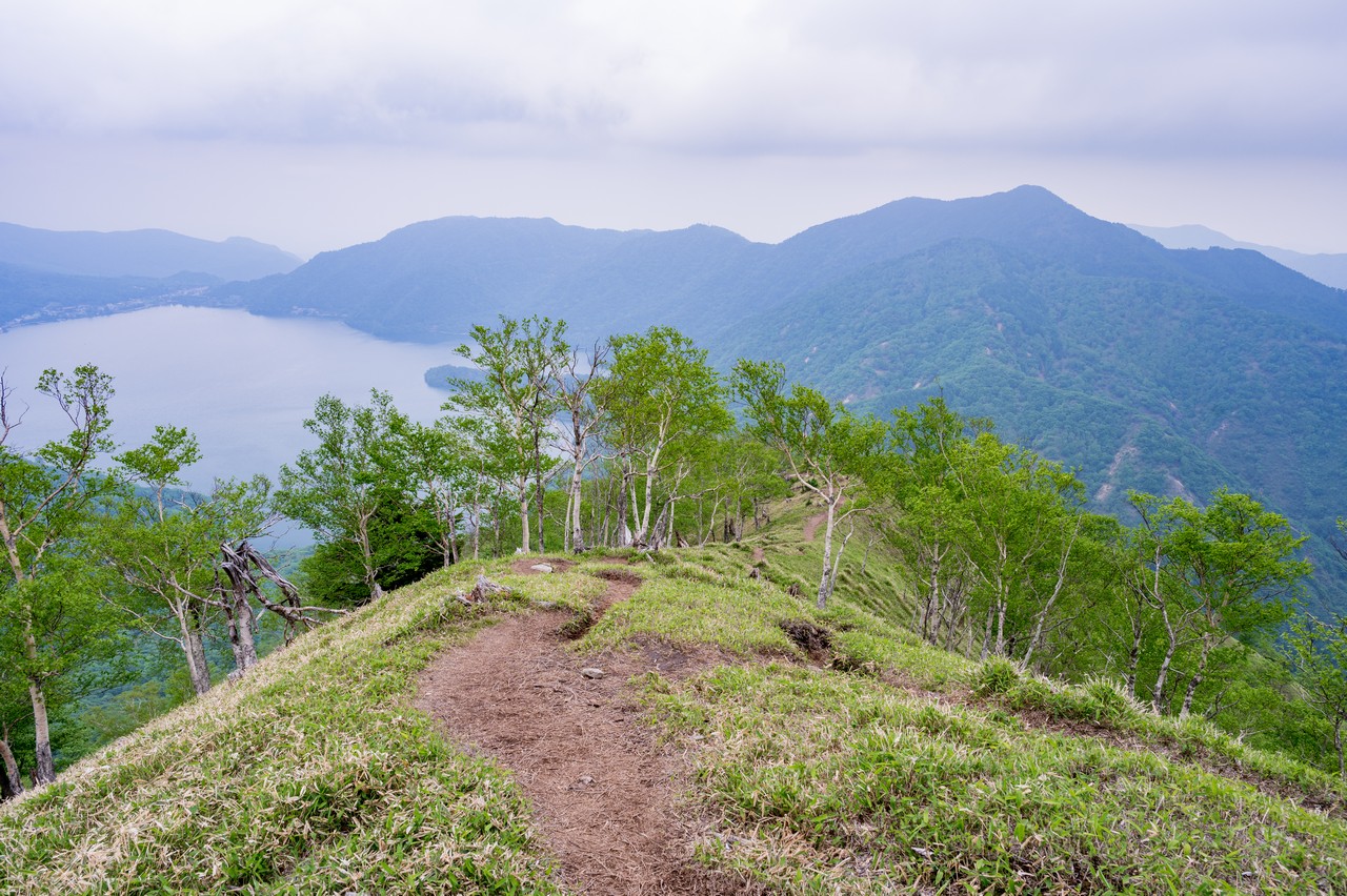 社山の登山道