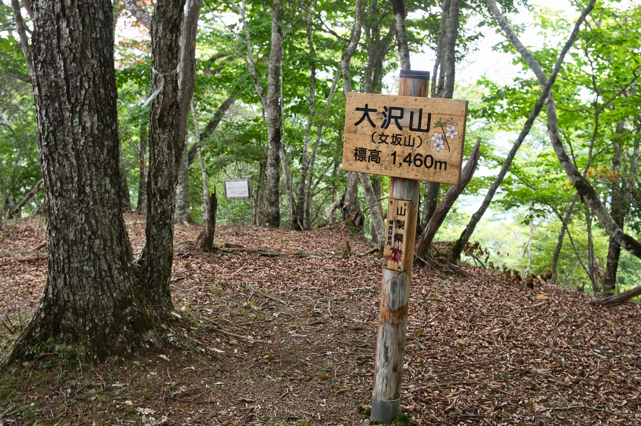 大沢山の山頂標識