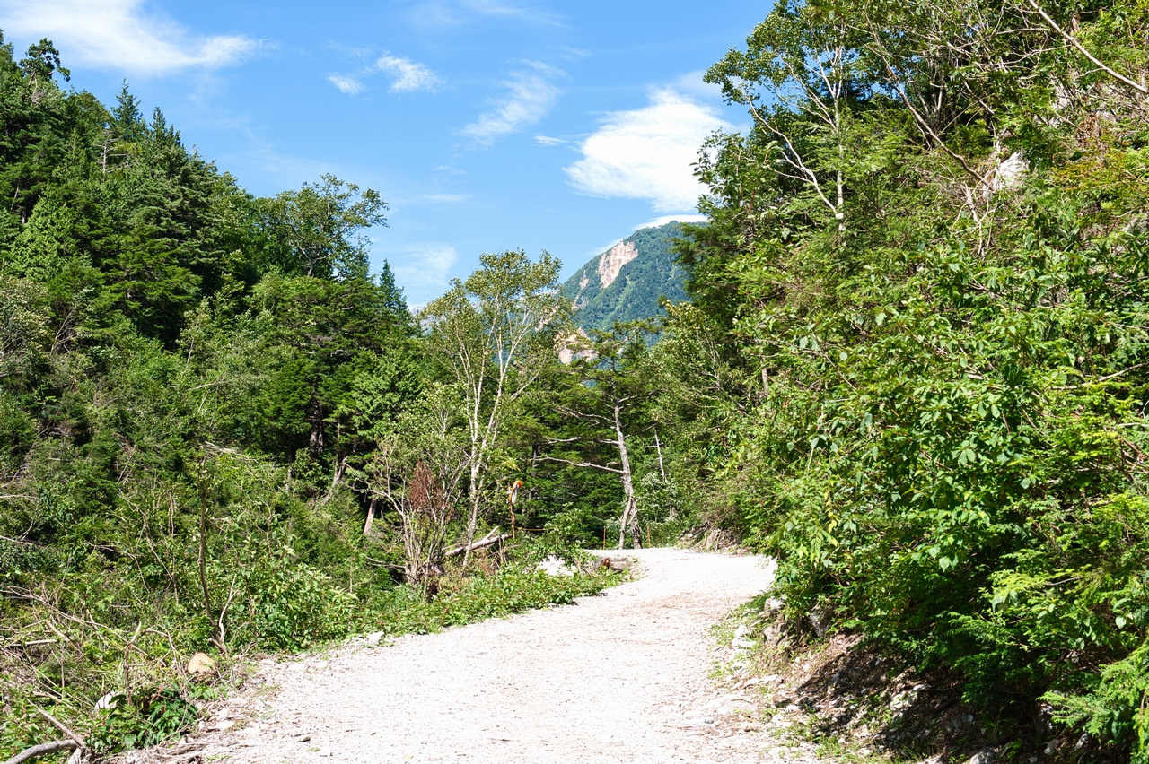 左俣林道の道中